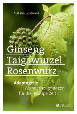 ginseng taigawurzel rosenwurz